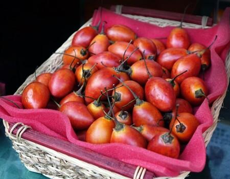 Tree tomatoes (Tamarillo) farming guide