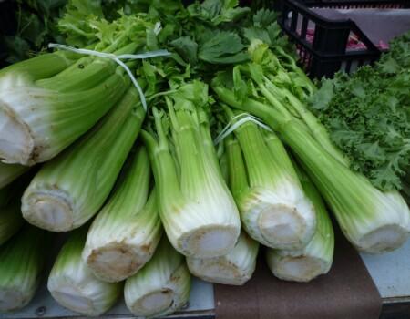 Celery Farming Kenya