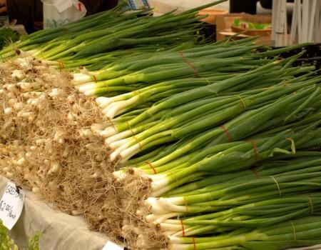 Spring Onion Farming in Kenya